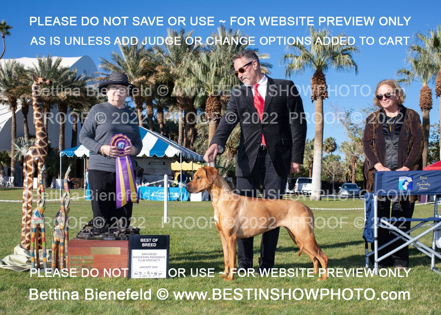 San Diego Rhodesian Ridgeback Club ~ in Indio, CA 1/6/2022 - Show ...