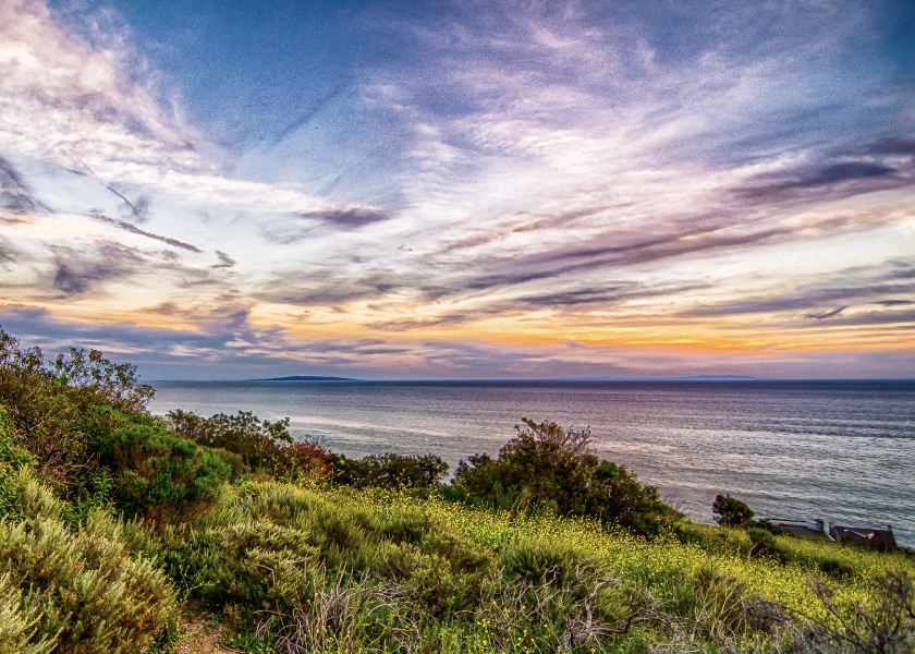 MALIBU KC SATURDAY 3.8.2025 CONFORMATION Show