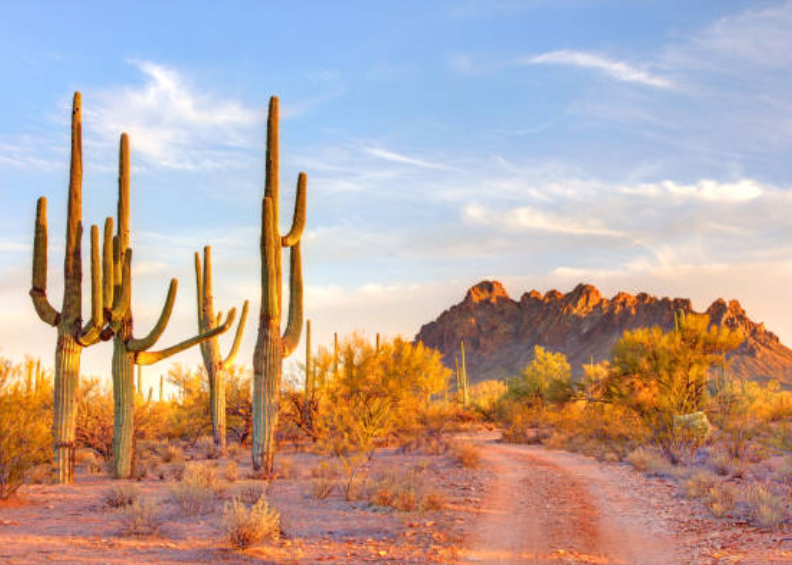 TUCSON KC ~ SATURDAY 11.15.25