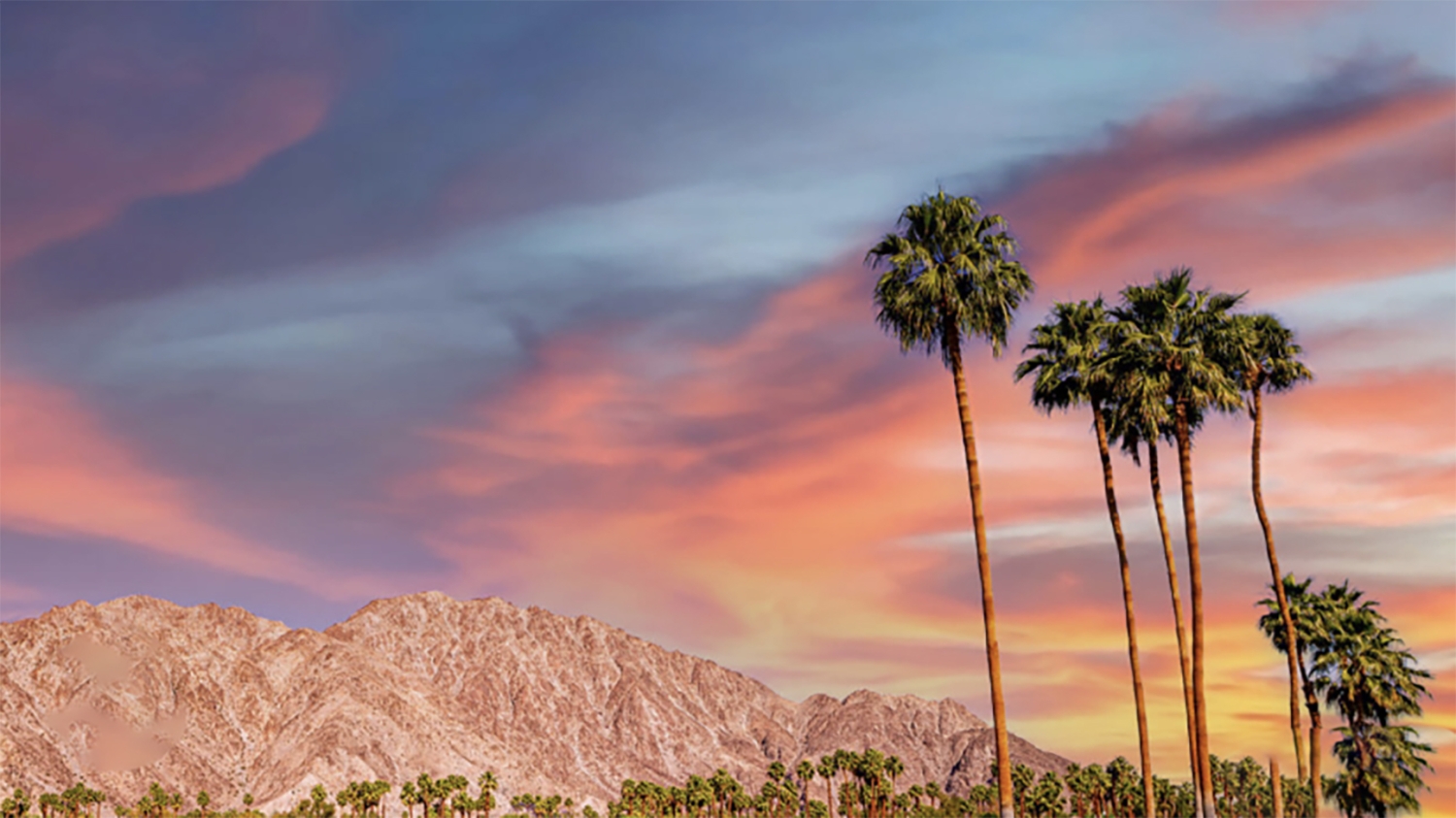 KC OF PALM SPRINGS ~ SATURDAY 01.03.2026