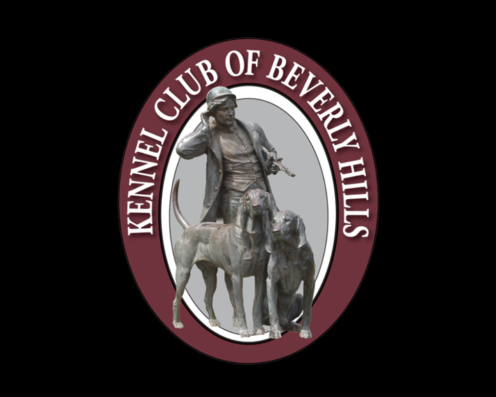 KC OF BEVERLY HILLS ~ FRIDAY 01.16.26