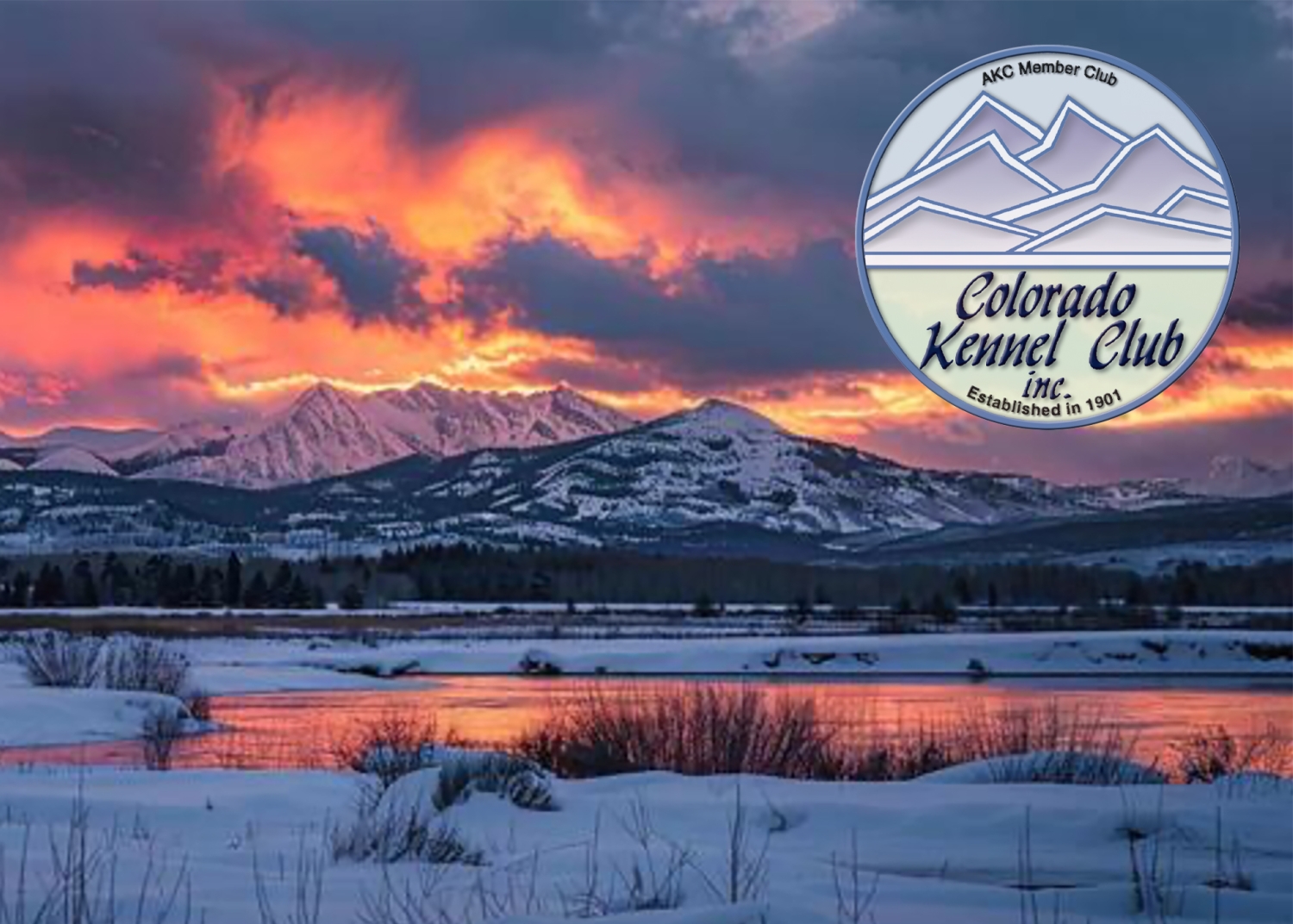 COLORADO KC ~ SUNDAY 02.15.2026