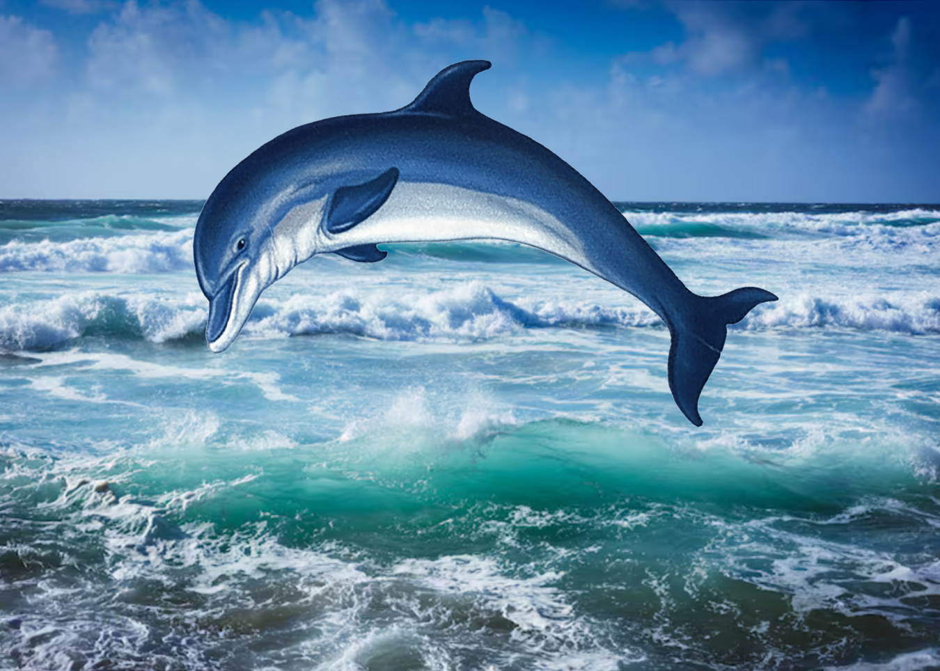 MALIBU KENNEL CLUB ~ SUNDAY 03.08.2026