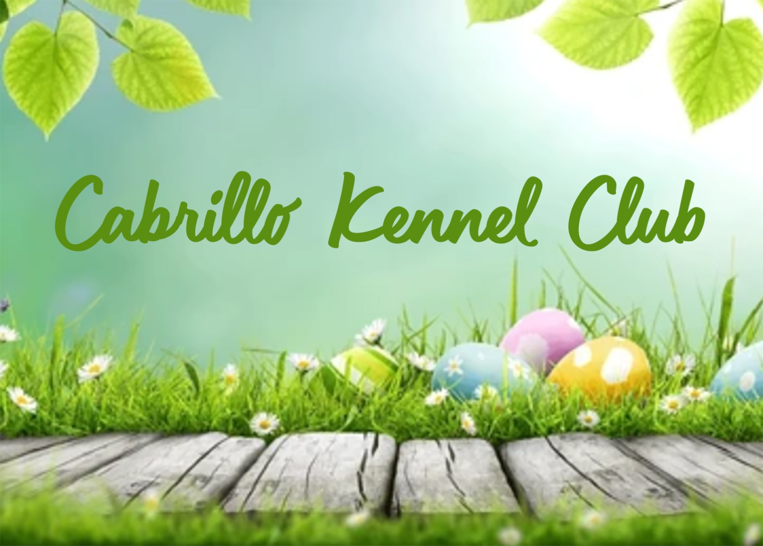 CABRILLO KC ~ SATURDAY 4.4.2026