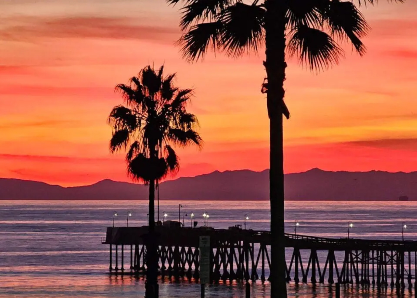 VENTURA SPECIALTIES ~ FRIDAY 5.29.2026