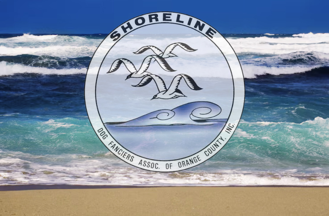 SHORELINE ~ SUNDAY  8.30.2026