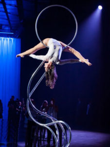 CUSTOM CIRQUE SHOWS