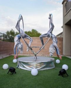CUSTOM CIRQUE SHOWS