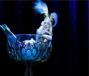 CUSTOM CIRQUE SHOWS