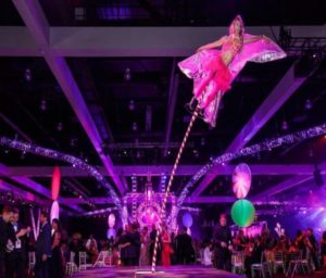 CUSTOM CIRQUE SHOWS