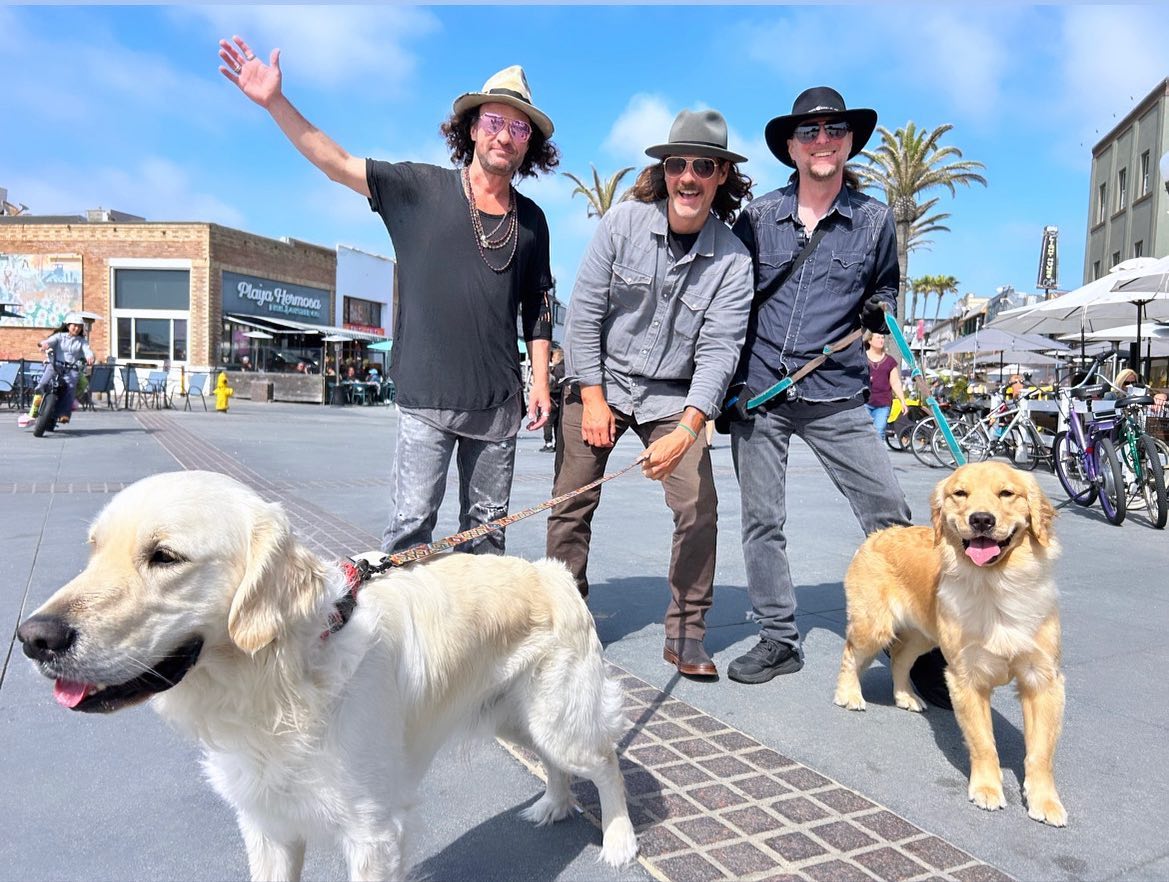 Pet Project