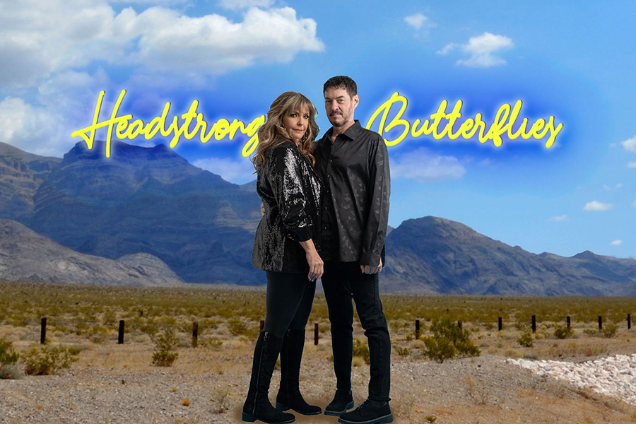 Headstrong Butterflies