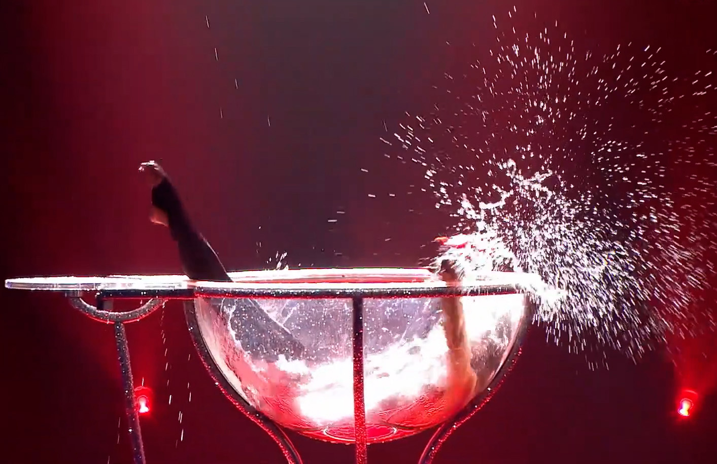 Water Martini Act
