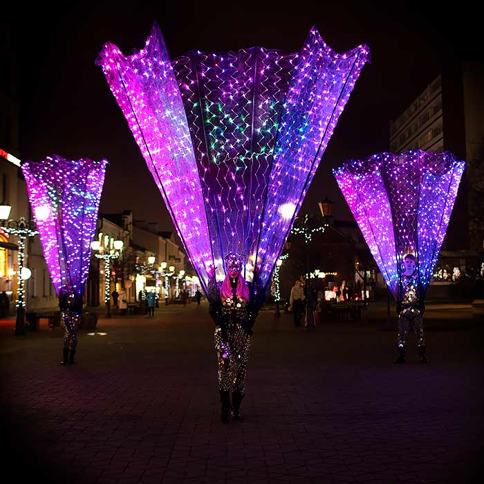 LED Peacock Greeters