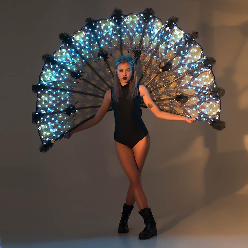 LED Peacock Greeters