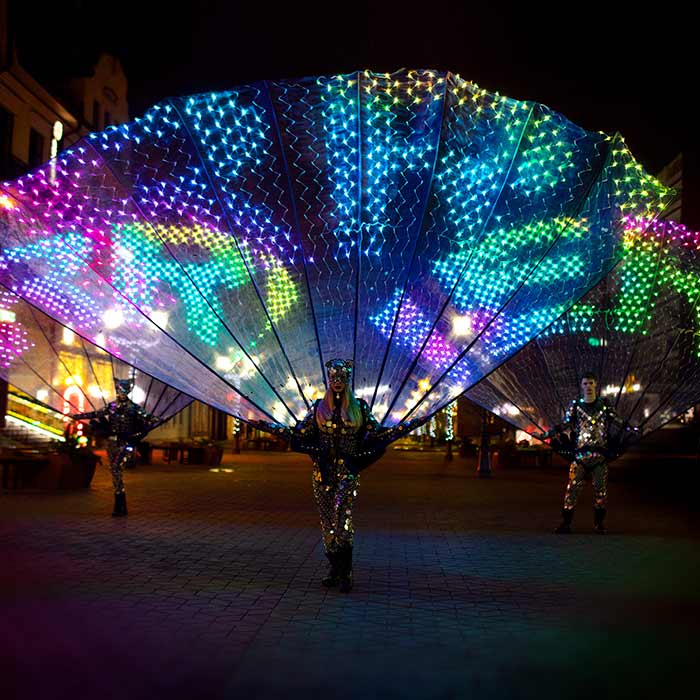 LED Peacock Greeters