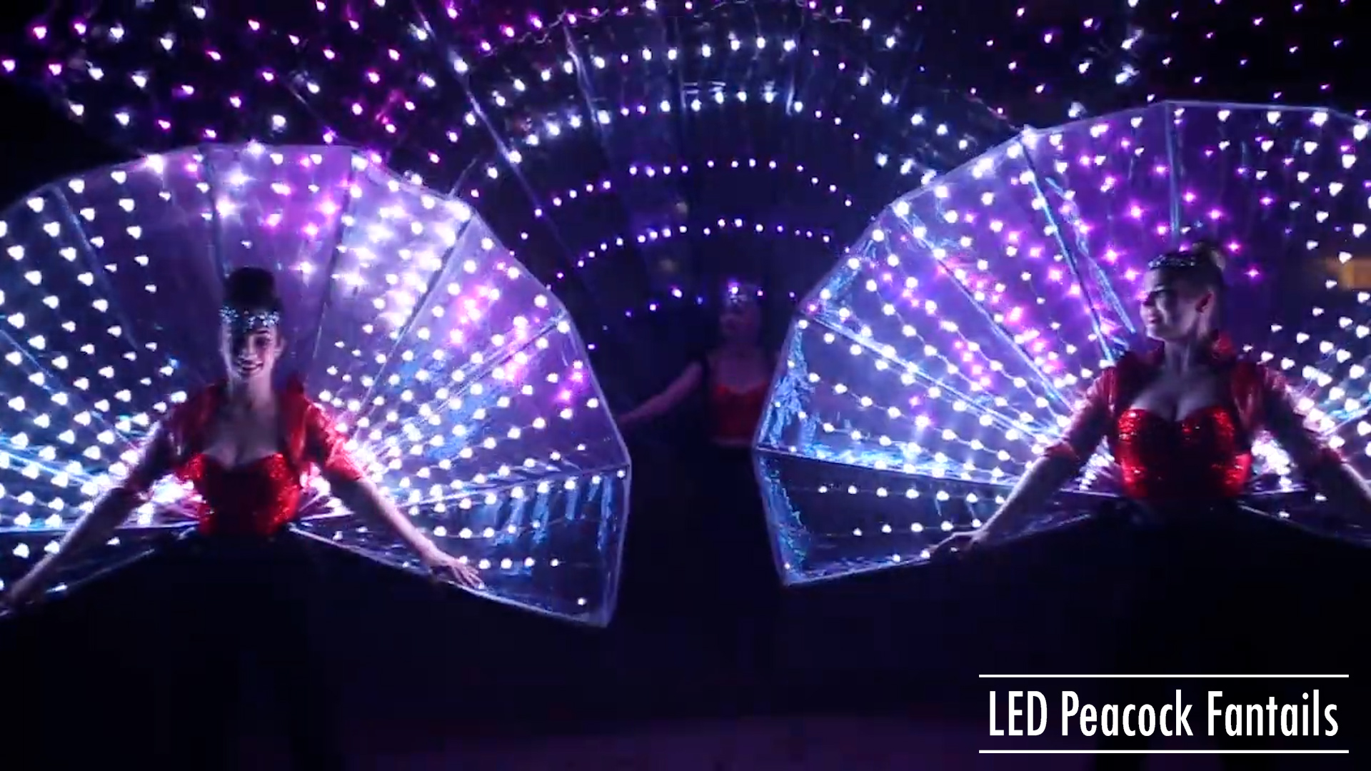 LED Peacock Greeters