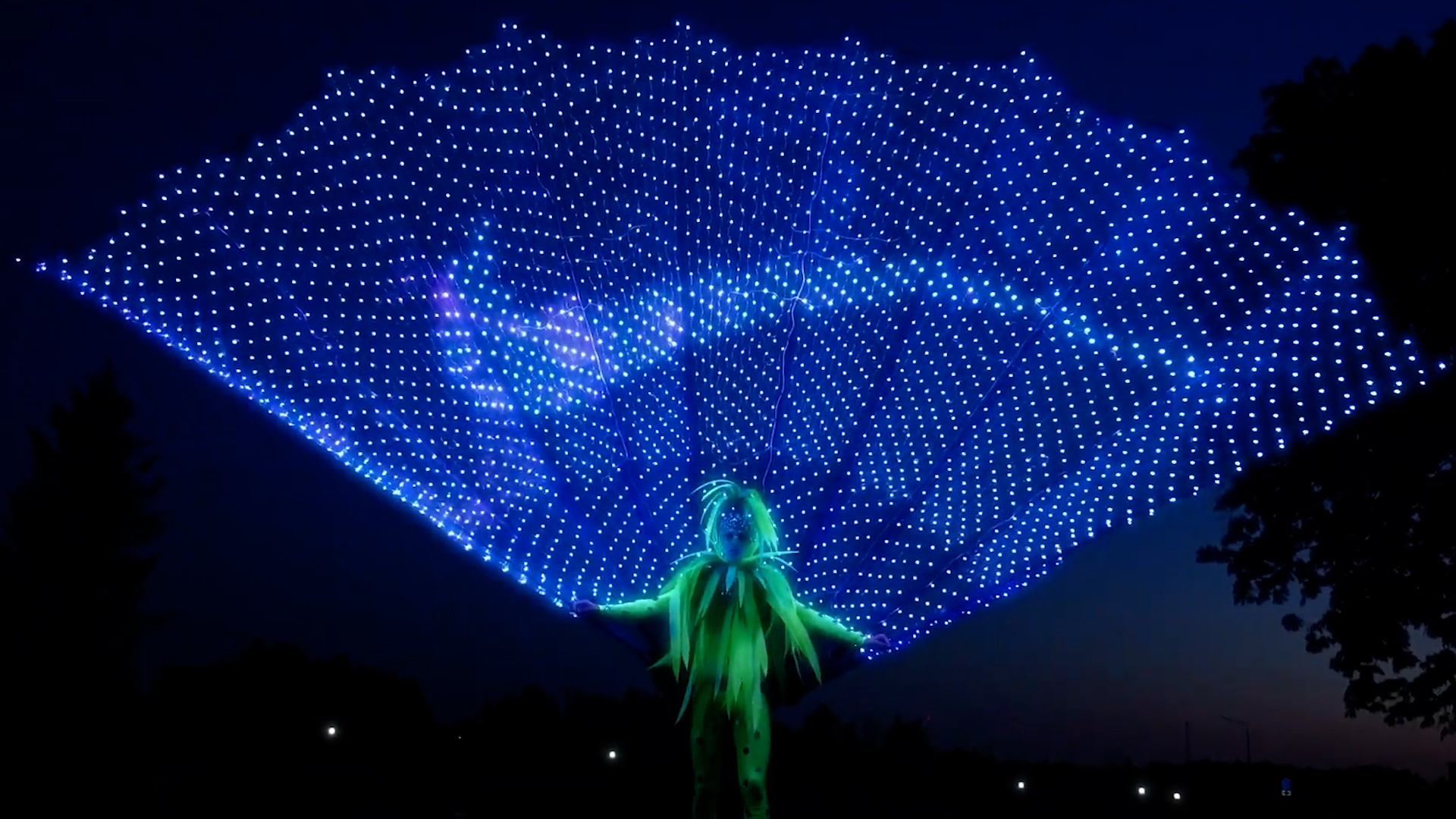 LED Peacock Greeters