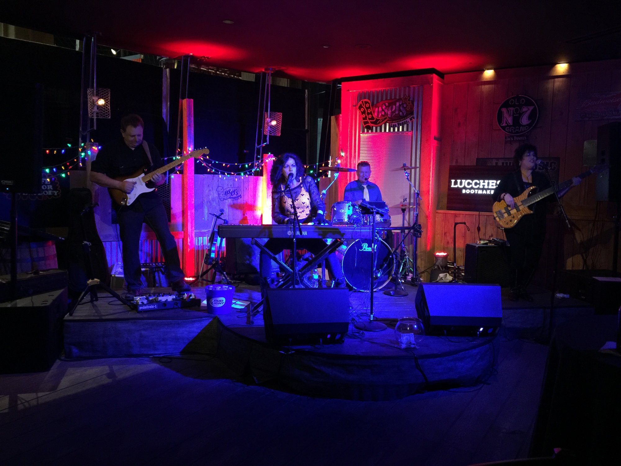 The Tammy Graham Band