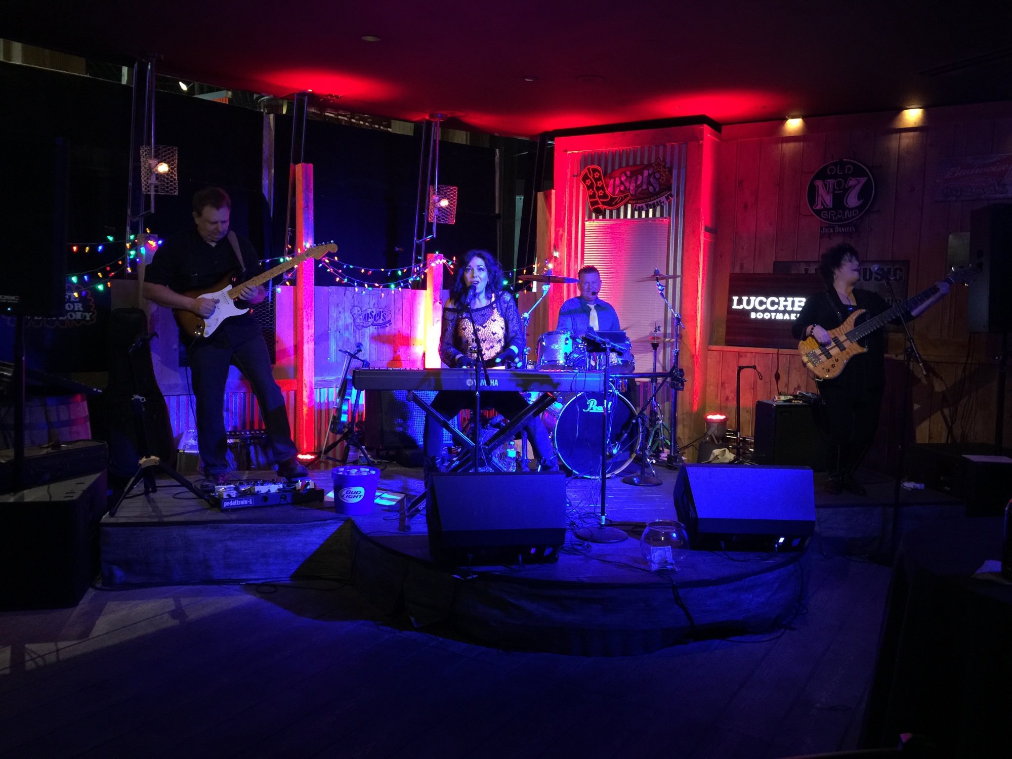 The Tammy Graham Band