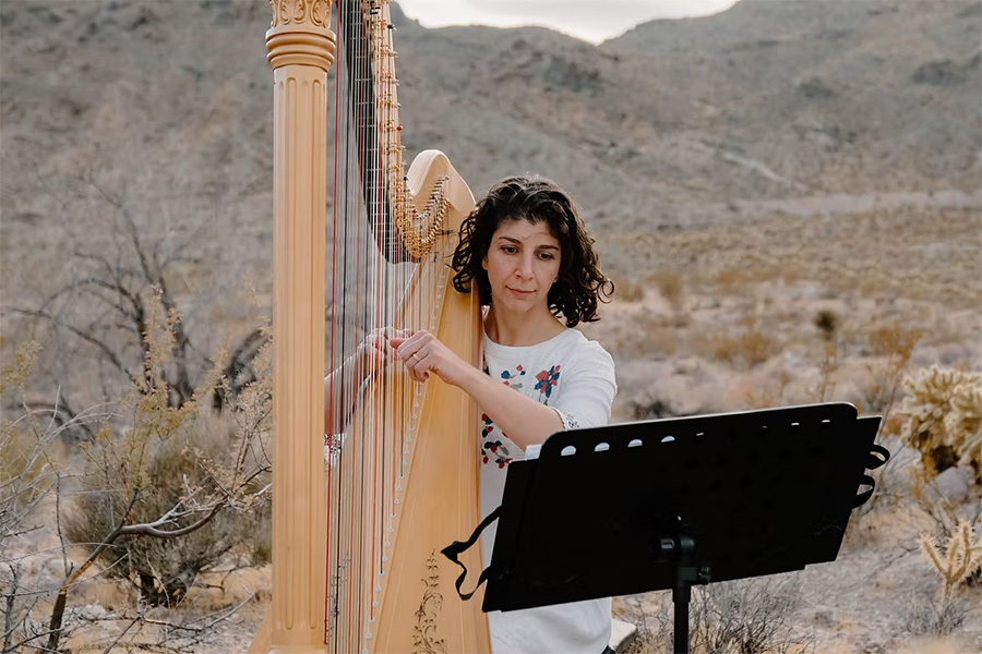 Cathryn Daniels Harpist