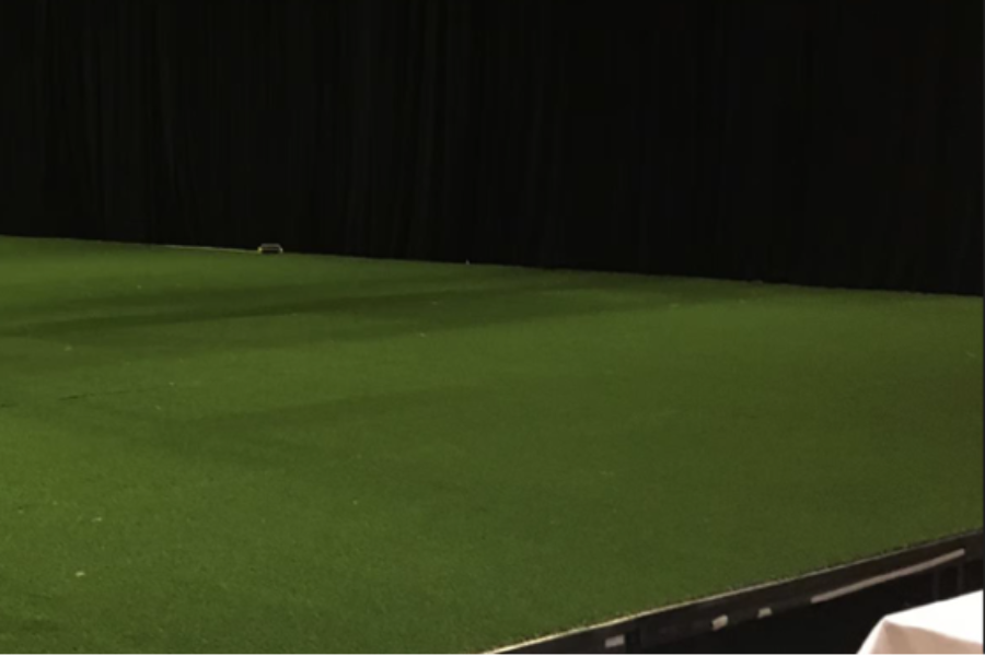 ID-5247932000099517681-Astroturf-1