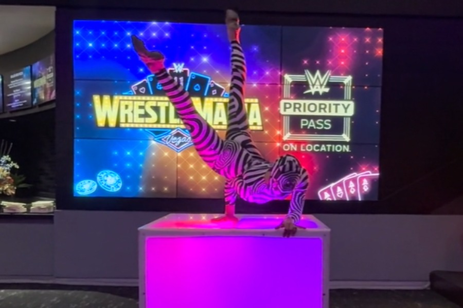 ID-5247932000131802562-Zebra-Contorisionits