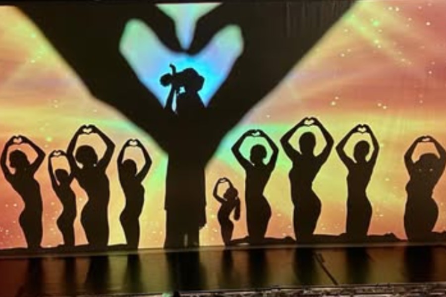 ID-5247932000092452142-The-Silhouettes