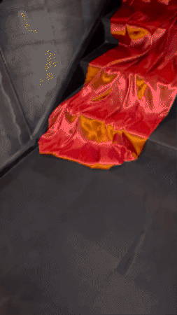 ID-5247932000141304235-gif-1