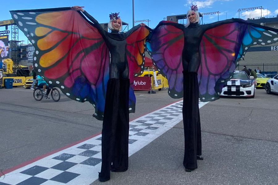 ID-5247932000046960429-stiltwalkers-email-pitch
