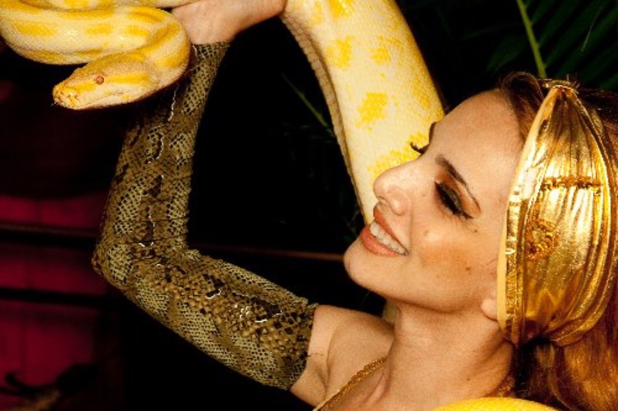 ID-5247932000095908481-snake-2-2