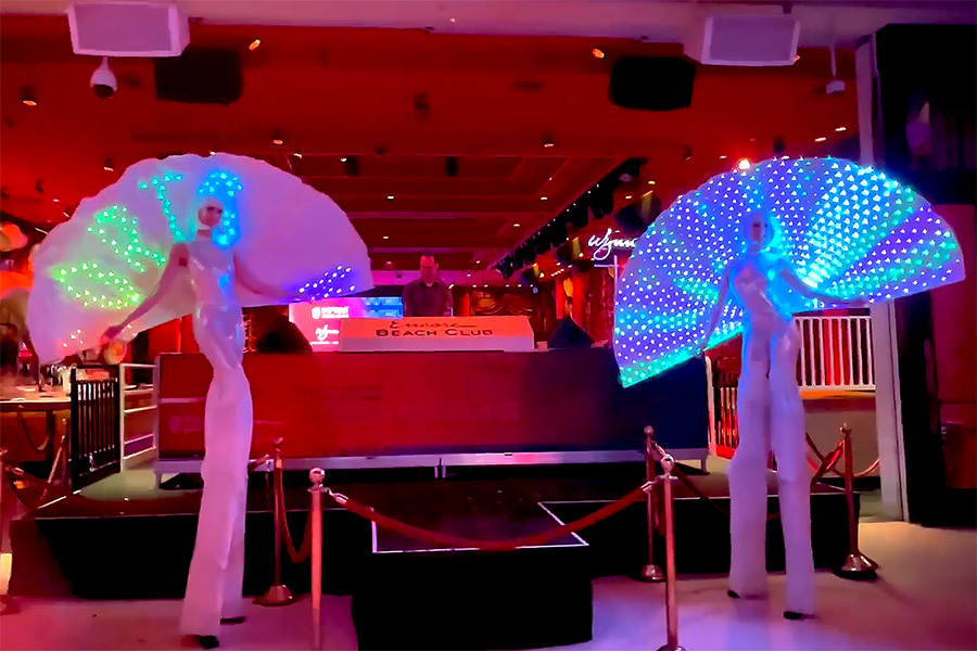 ID-5247932000107886030-ProgrammableLEDPeacockStiltWalkers2-900×600-2