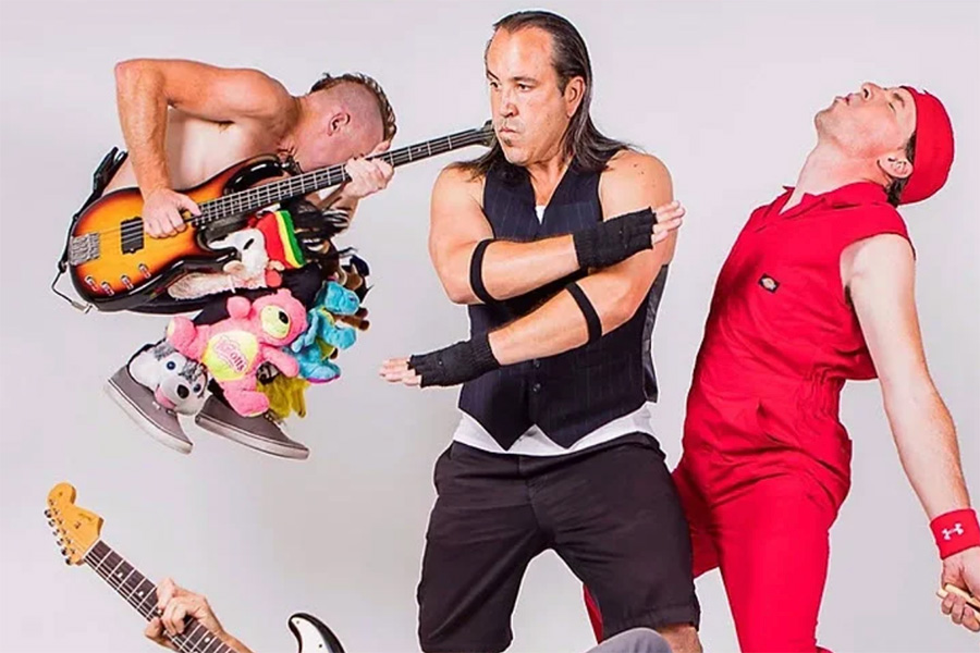 red-hot-chili-peppers-tribute-email-pitch