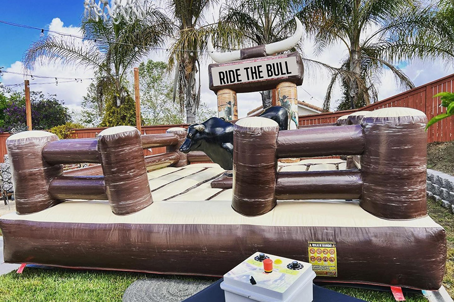 ride-the-bull-email-pitch