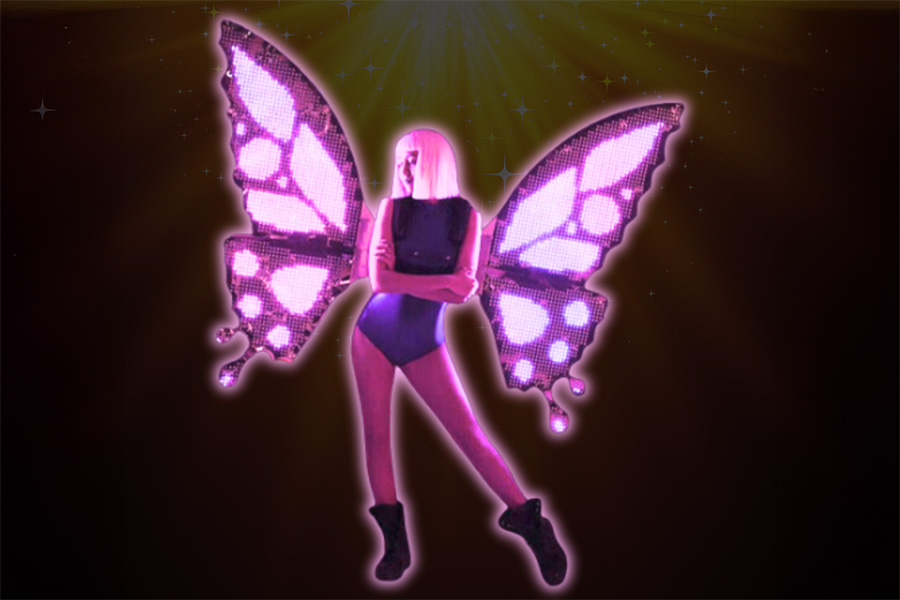 ID-5247932000105072177-LEDButterflyWingsWithProgrammableText01-900×600-1