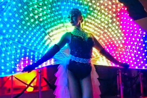 ID-5247932000049271025-peacock