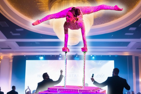 ID-5247932000112609257-LED-Contortionist