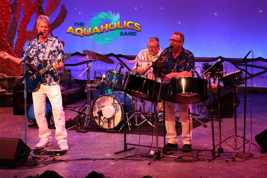 ID-5247932000102474055-Aquaholics01-900×600-2