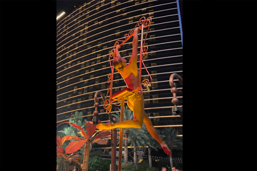 ID-5247932000161325305-Aerialist-on-the-Gold-frame