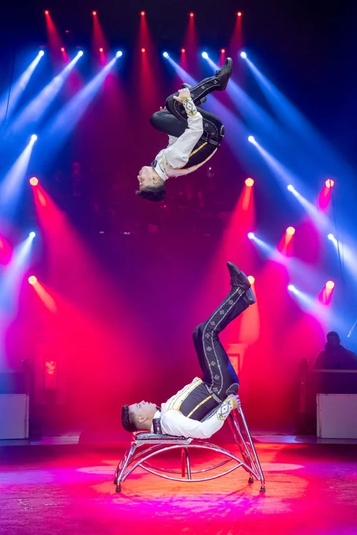 Acrobats flip and fly