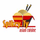 Spikey Ty logo