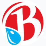 The Original Brooklyn Water Bagel Co. logo