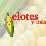 Elotes Pepe Y Mas logo