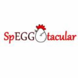 Speggtacular Clearwater Beach logo