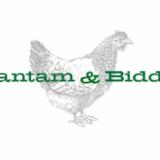 Bantam and Biddy - Chattanooga logo