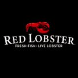 Red Lobster - Kissimmee-Old Town, FL logo