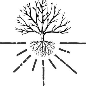 Logo for Intrinsic Smokehouse Brewery + BBQ Catering