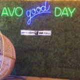 Avo Eatery logo