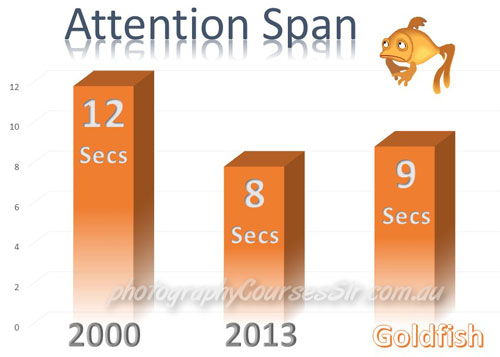 Attention Span of Real Estate Photography Buyers