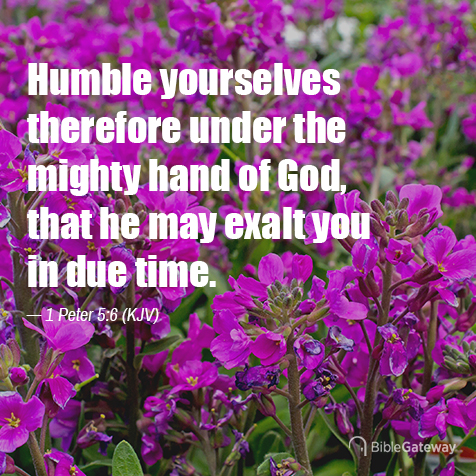 1 Peter 5:6 on Bible Gateway.